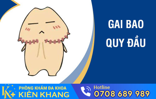 Gai bao quy đầu