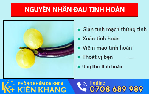 Đau tinh hoàn - dấu hiệu nhiều bệnh nguy hiểm