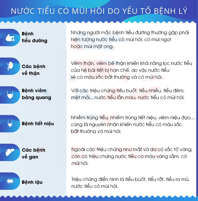 Nguyên nhân nước tiểu có mùi hôi