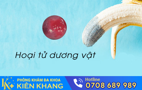 Hoại tử dương vật do biến chứng