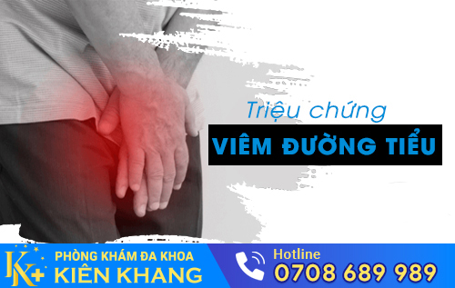 Các triệu chứng viêm đường tiểu