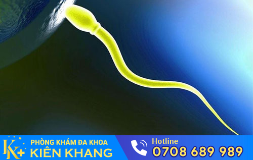 Xuất tinh màu vàng