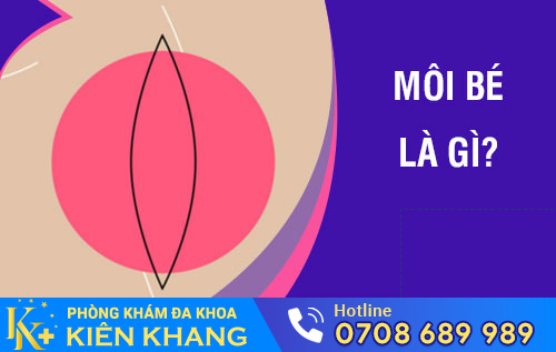 Môi bé âm đạo