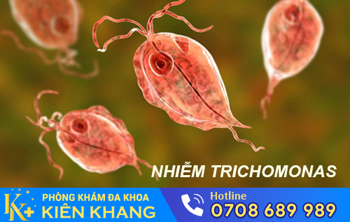 trùng roi trichomonas