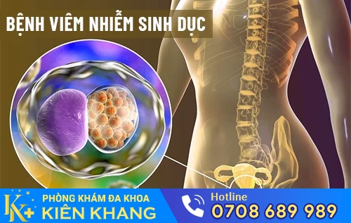 benh viem nhiem sinh duc o nam va nu