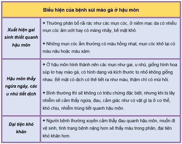 Biểu hiện sùi mào gà hậu môn