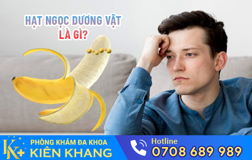 hat ngoc duong vat la gi