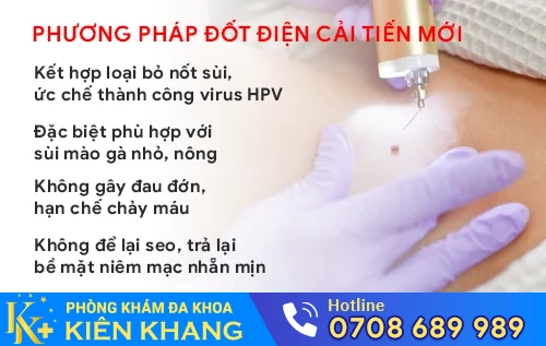 phuong phap dot dien sui mao ga