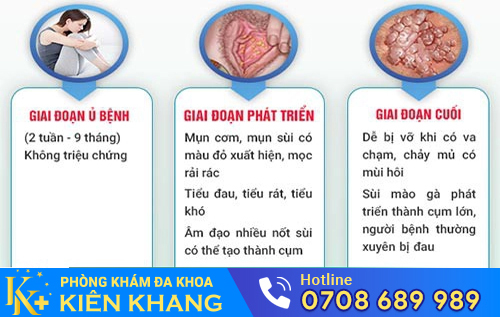 Hình ảnh ung thư cổ tử cung do sùi mào gà gây nên