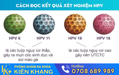 Sùi mào gà có liên quan gì đến ung thư?
