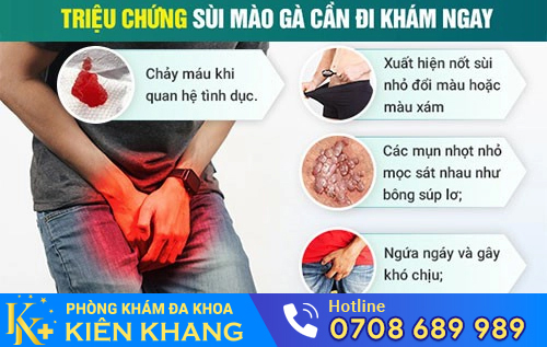 Triệu chứng bệnh sùi mào gà qua các giai đoạn