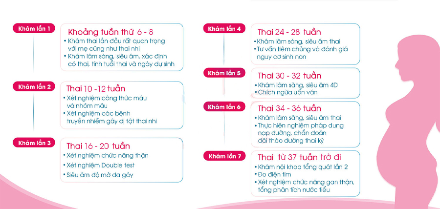 Các cột mốc khám thai