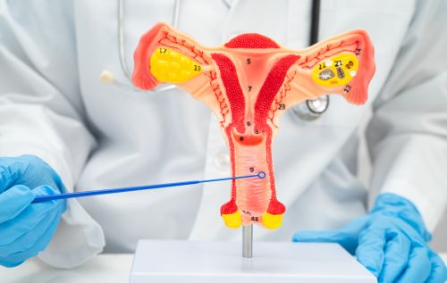 Những ai nên đi khám phụ khoa tổng quát?